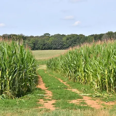 Apartamento L'asperule *