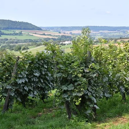 L'asperule * Rouvroy